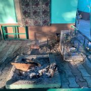 WhatsApp Image 2025-01-24 at 4.36.02 PM (3)